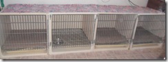 4-kennel-cages