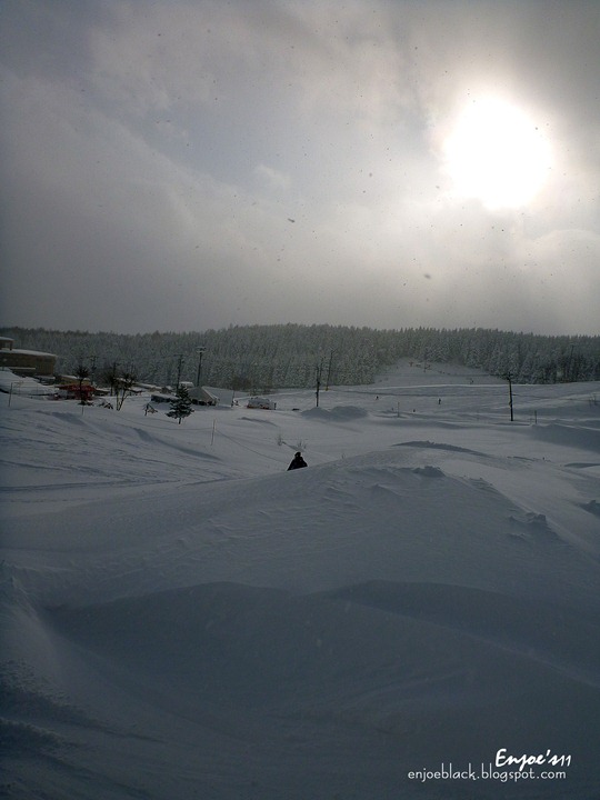 [P10009273.jpg]