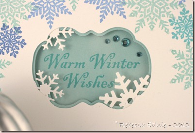 case study warm winter wishes2