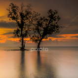 Always beside you by Jee Cornelius -  