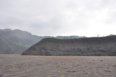 DSC_0551.jpg