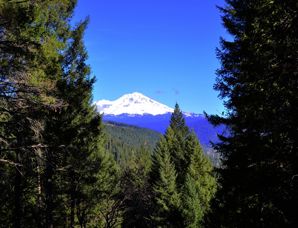 [Mount-Shasta4.jpg]