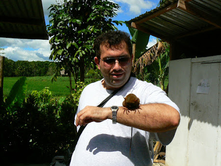 2007 tarsieri in Filipine Dupa 20 de ani