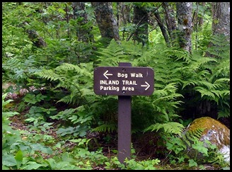 04w3 -  Hike -  Bog Trail Sign