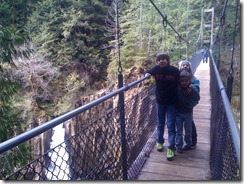 Hiking Drift Creek Falls