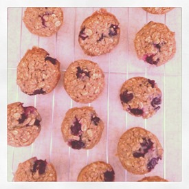 Blueberry Oatmal Breakfast Muffins