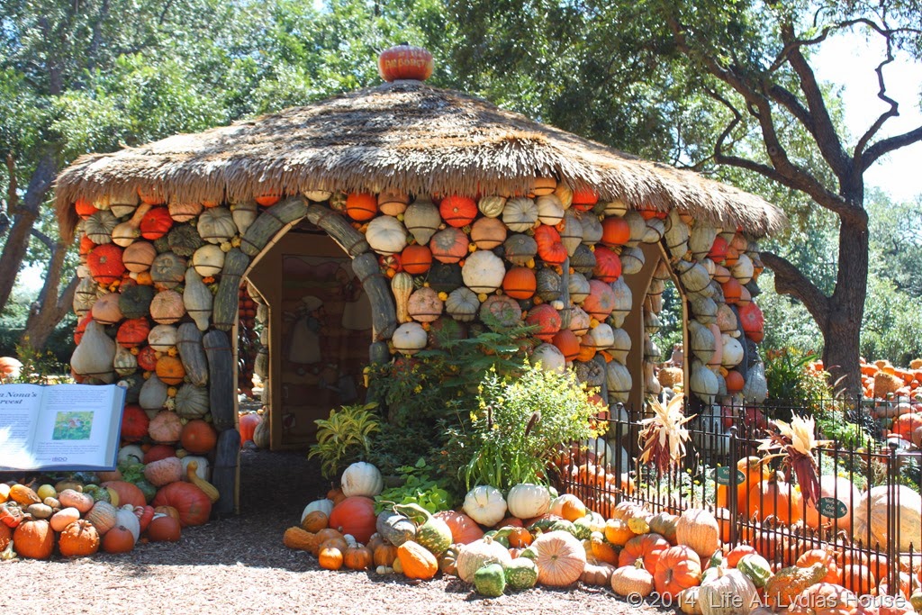 [Dallas-Arboretum---pumpkin-festival-%255B43%255D.jpg]