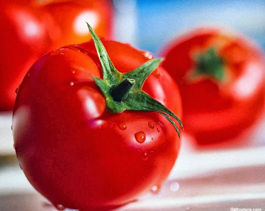 most-poisonous-foods-we-love-to-eat-tomatoes