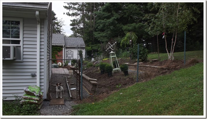 landscaping front planted 011