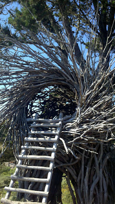 The nest at Tree Bone Resort