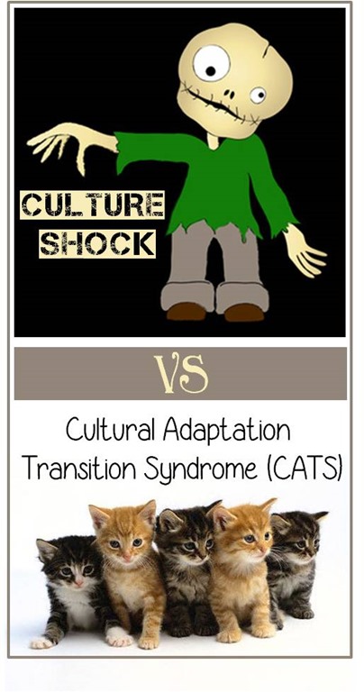 Culture Shock versus Cultural Adaptation Transition Syndrome CATS