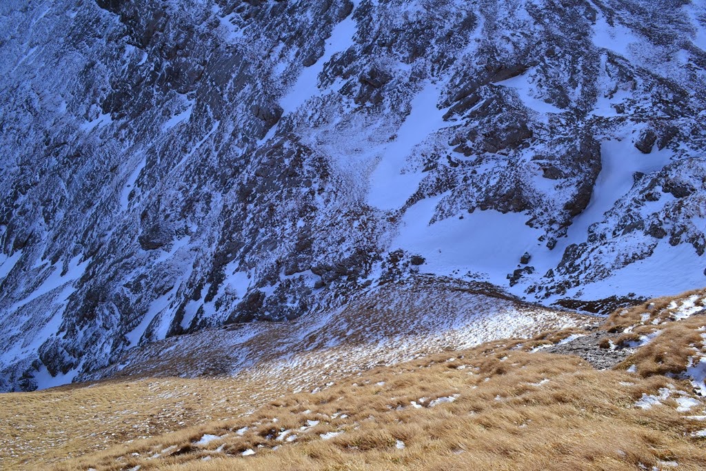 [DSC_05783.jpg]
