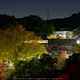 朝護孫子寺,紅葉(PK3_0134,Top)2014yaotomi_.jpg
