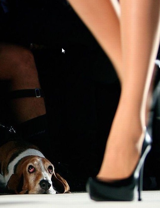 [2011-11-29_133212%255B2%255D.jpg]