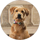 Laura Weaver profile picture