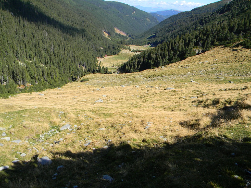 [DSCN35023.jpg]