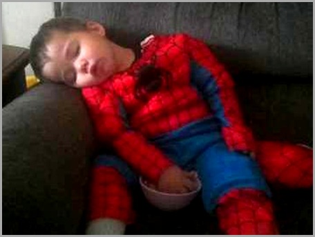 Spiderman (Rocco) after a hard day of fighting crime
