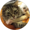 Image Google de kari ham