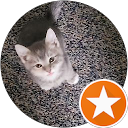 howrus profile picture