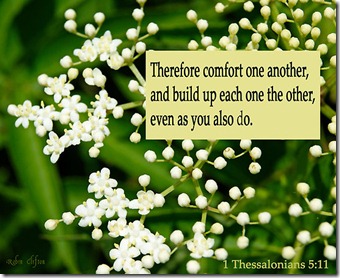work_7420968_1_flat,550x550,075,f_comfort-one-another-1-thessalonians-5-11