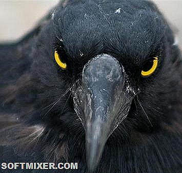 [cbcc5e31badd%255B26%255D.jpg]