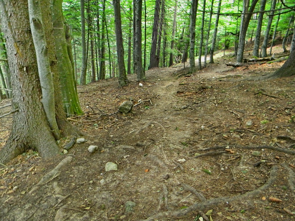 [DSCN01713.jpg]