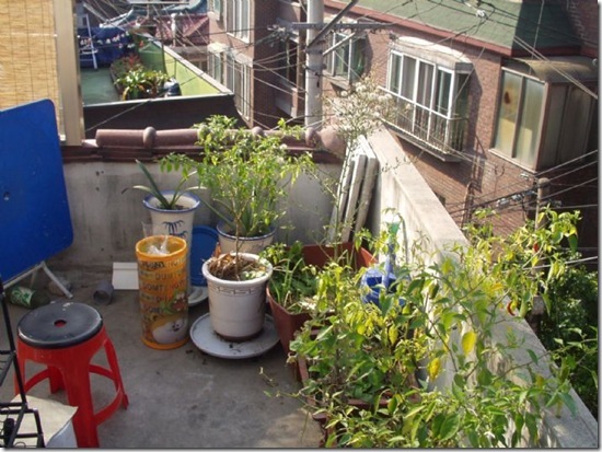 Gallery485_1