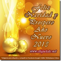 felizao20136_thumb