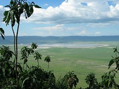 منظر من تنزانيا