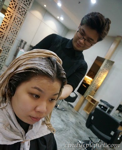 [ash%2520hair%2520colour1%255B3%255D.jpg.webp]