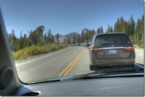 Yosemite Traffic