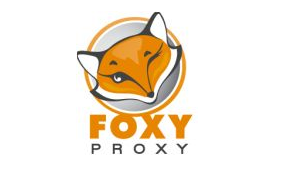 FoxyProxy : Firefox Chrome IE Proxy Tool