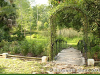 Mead Botanical Garden Winter Park Florida
