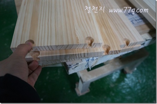 철천지DSC03775-20121112-152641