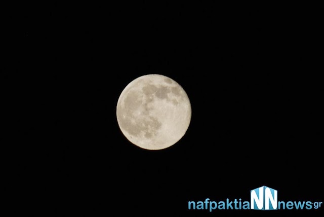 DSC_0822.jpg