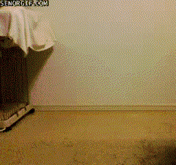 [perros%2520que%2520andan%2520a%2520dos%2520patas%255B3%255D.gif]