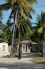 Village in Zanzibar