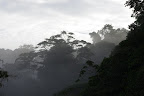 Brume matinale près de l'Auberge des Orpailleurs (RN2, PK 63), 28 octobre 2012. Photo : J.-M. Gayman