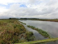 Skjern Au _ Oktober 2012 - 121