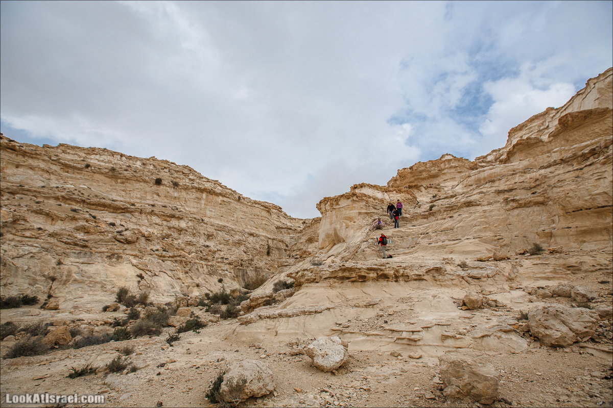 Ручей Акев и источник Эйн Акев в пустыне Негев. LookAtIsrael.com - Фото путешествия по Израилю