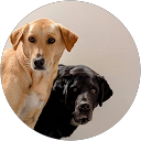 Nathalie Hatter profile picture