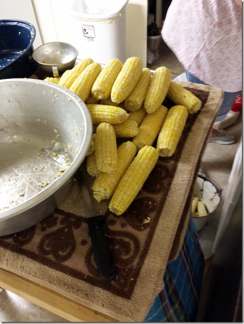 2013-7-4 preparing corn to freeze