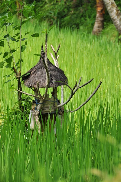 DSC_0102.jpg