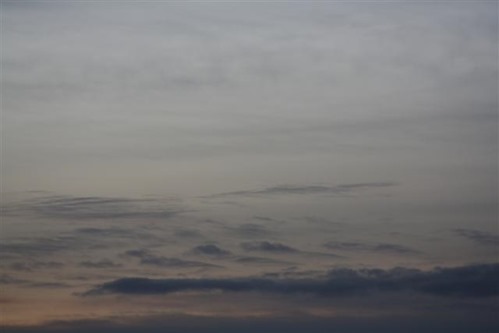 20081113 (1) (Small)