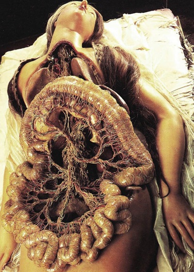 Zumbo cera anatomica giovane donna con colon e intestino (medio) Zumbo cera anatomica giovane donna con colon e intestino (medio)