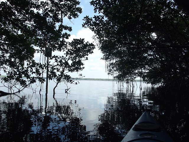 [CootBaypaddle0933.jpg]