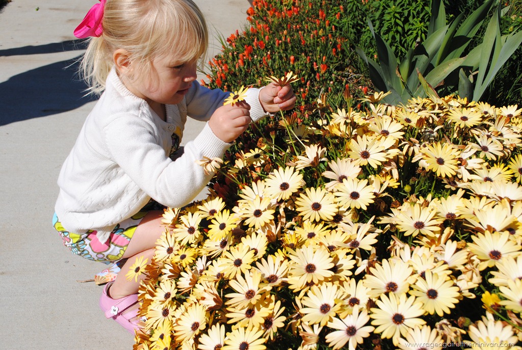 [March%25202012%2520220%255B3%255D.jpg]