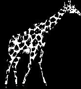 [Giraffe%255B2%255D.jpg]