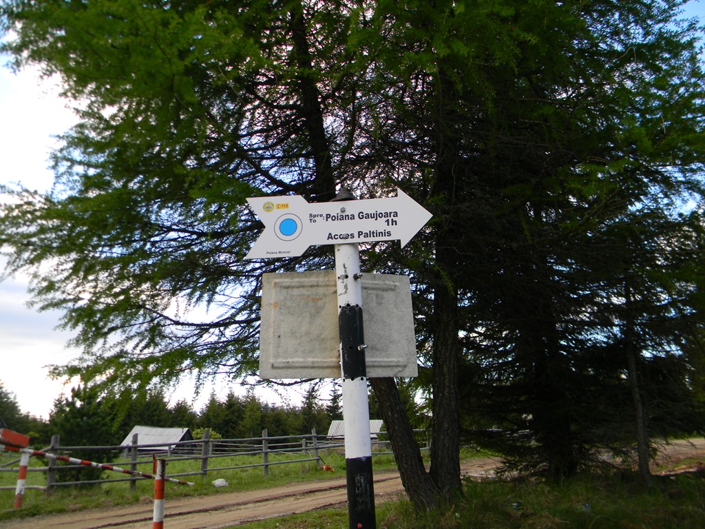 [DSCN00703.jpg]