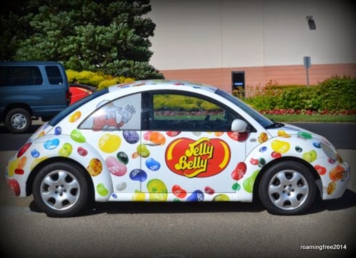 The Jelly Belly Bug
